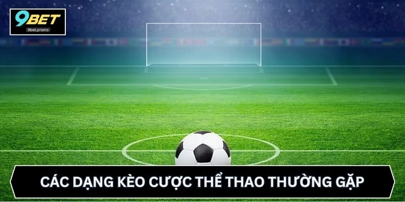 Các dạng kèo cược thể thao thường gặp