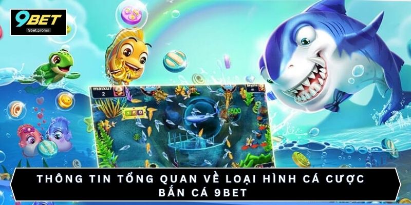 Thông tin tổng quan về loại hình cá cược bắn cá 9bet