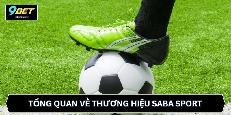 Tổng quan về thương hiệu Saba Sport